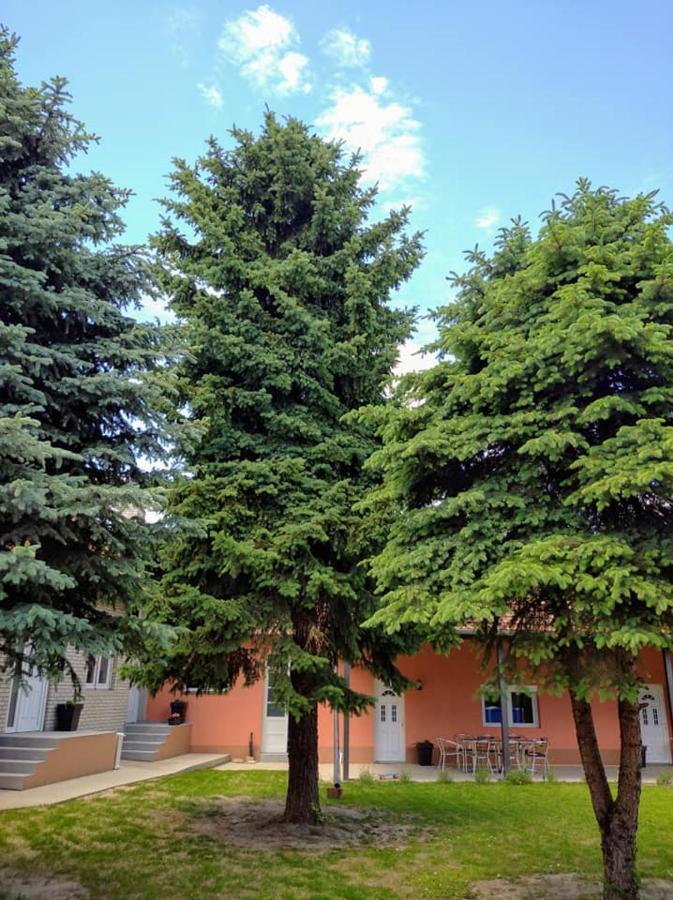 Dumalux Apartment Szabadka Kültér fotó
